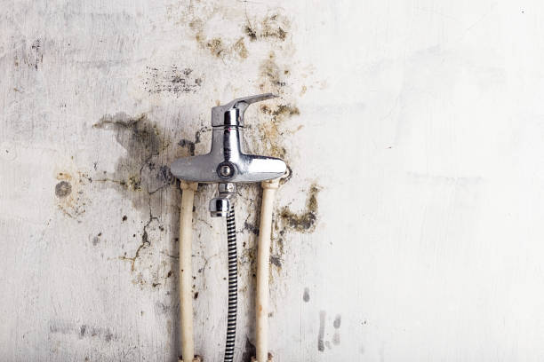 Best HVAC Mold Remediation in Macon, IL