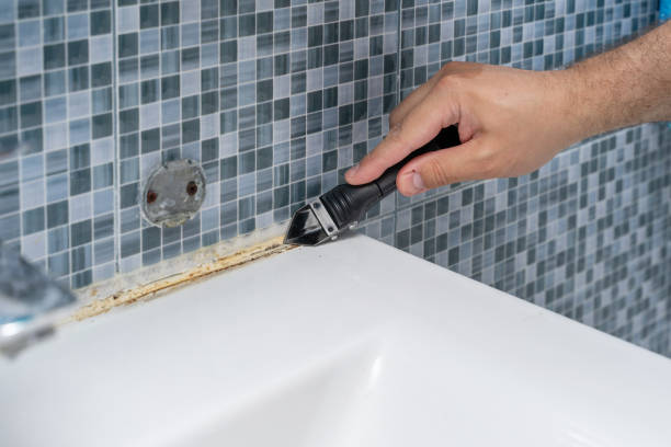 Best Commercial Mold Remediation in Macon, IL